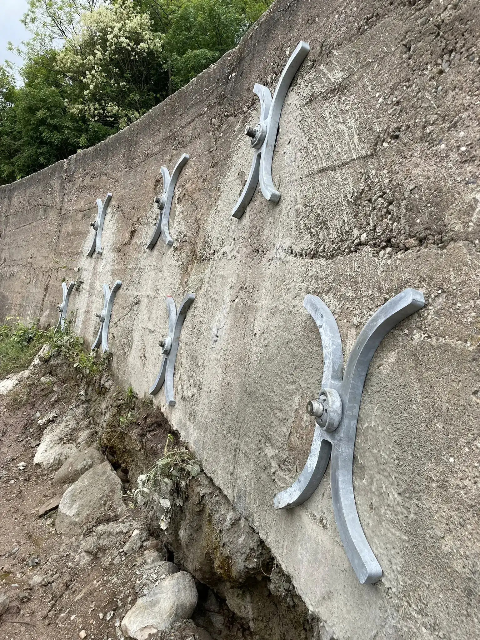 Parete chiodata a verde con vegetazione in ripresa